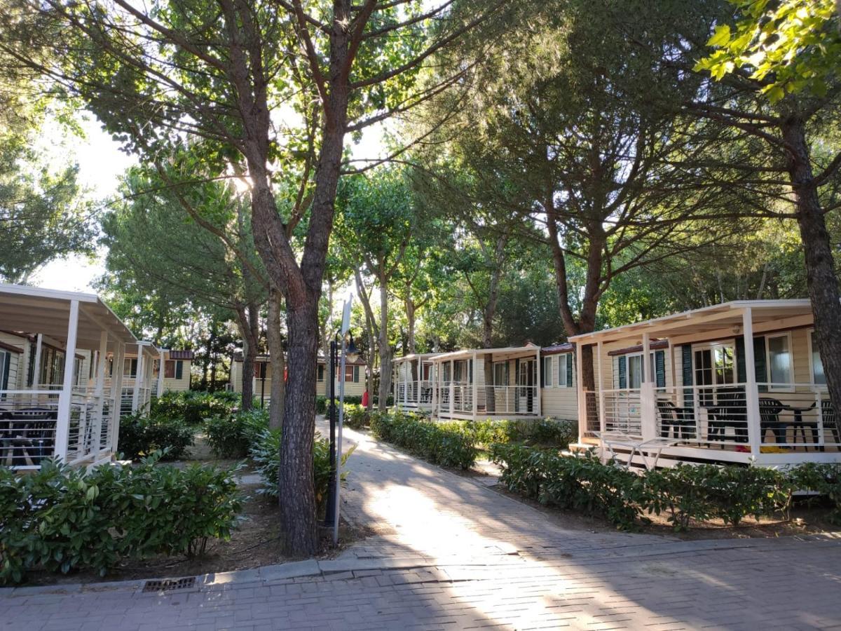 Badiaccia Village Camping Castiglione del Lago Buitenkant foto
